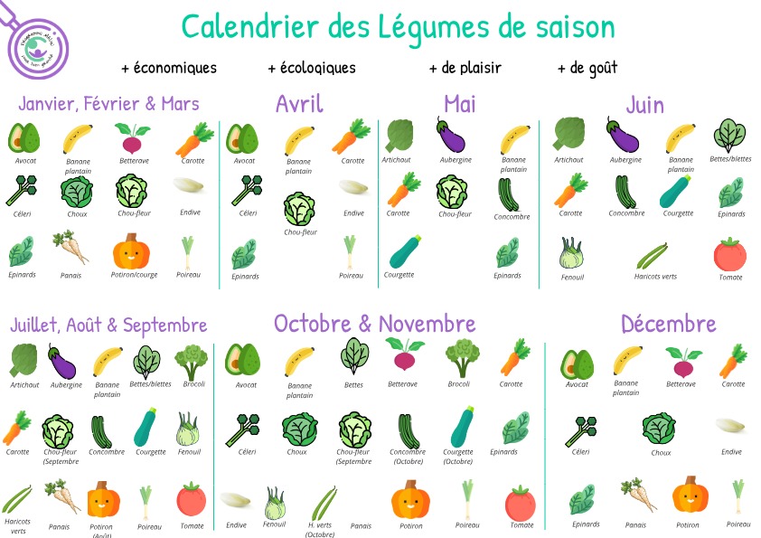 Image illustrant la deuxième partie